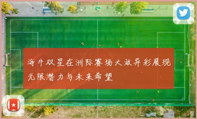 海牛双星在洲际赛场大放异彩展现无限潜力与未来希望